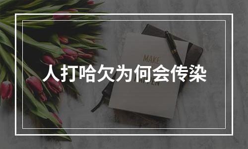 人打哈欠为何会传染