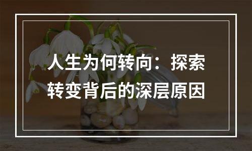 人生为何转向：探索转变背后的深层原因
