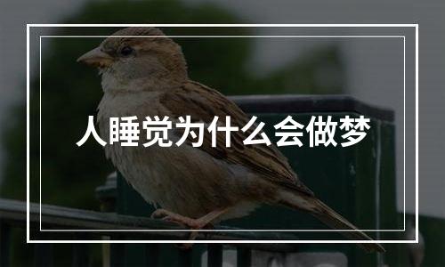 人睡觉为什么会做梦