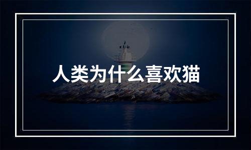 人类为什么喜欢猫