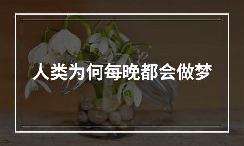 人类为何每晚都会做梦