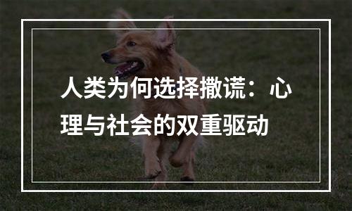人类为何选择撒谎：心理与社会的双重驱动