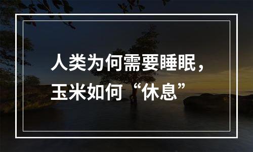 人类为何需要睡眠，玉米如何“休息”