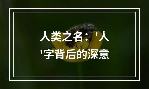 人类之名：'人'字背后的深意
