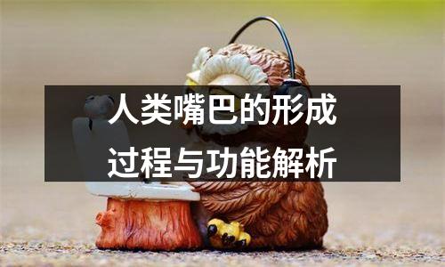 人类嘴巴的形成过程与功能解析