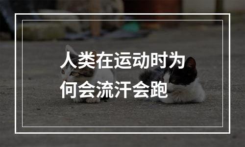 人类在运动时为何会流汗会跑