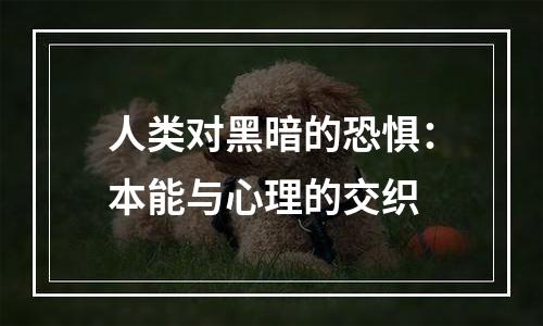 人类对黑暗的恐惧：本能与心理的交织