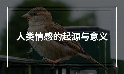 人类情感的起源与意义