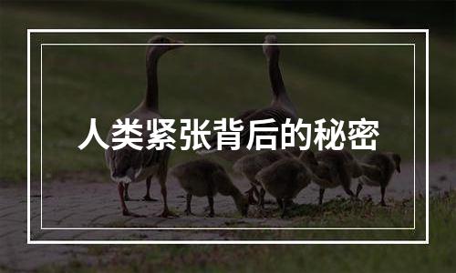 人类紧张背后的秘密