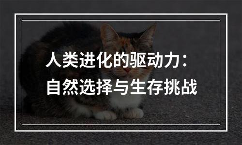 人类进化的驱动力：自然选择与生存挑战