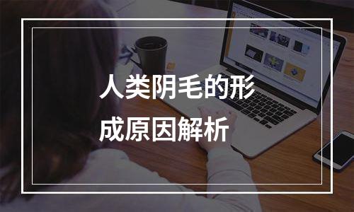 人类阴毛的形成原因解析