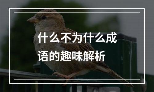 什么不为什么成语的趣味解析