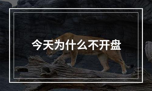 今天为什么不开盘