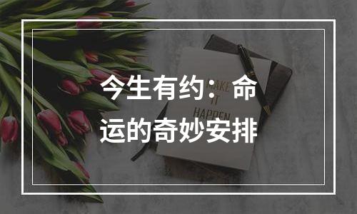 今生有约：命运的奇妙安排