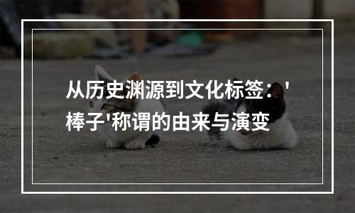从历史渊源到文化标签：'棒子'称谓的由来与演变
