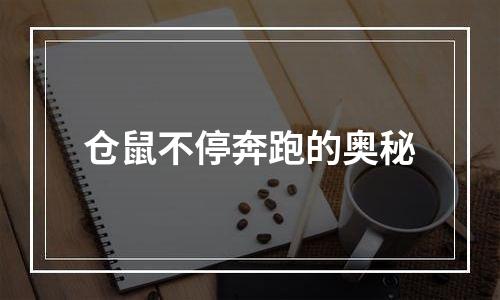 仓鼠不停奔跑的奥秘