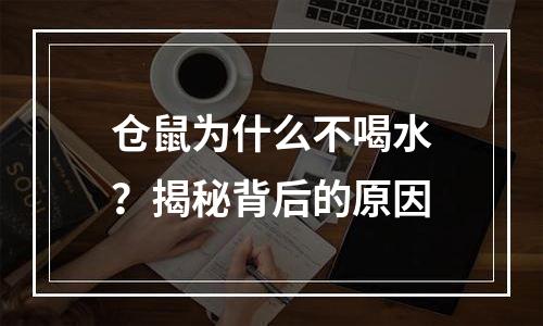 仓鼠为什么不喝水？揭秘背后的原因