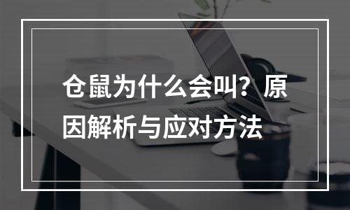 仓鼠为什么会叫？原因解析与应对方法