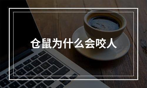 仓鼠为什么会咬人