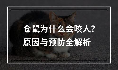 仓鼠为什么会咬人？原因与预防全解析