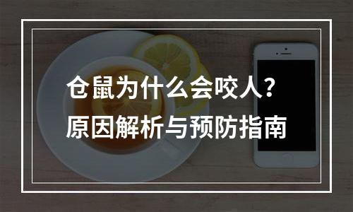 仓鼠为什么会咬人？原因解析与预防指南