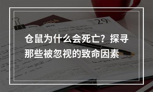 仓鼠为什么会死亡？探寻那些被忽视的致命因素