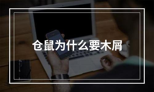 仓鼠为什么要木屑
