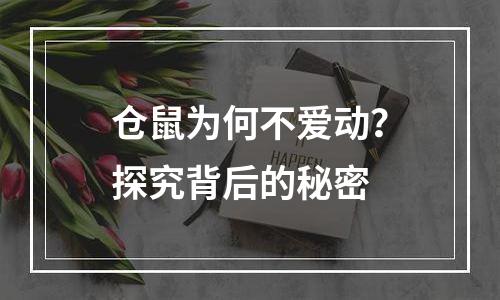 仓鼠为何不爱动？探究背后的秘密
