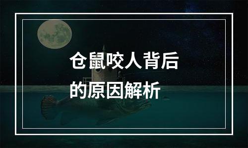 仓鼠咬人背后的原因解析