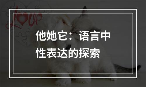 他她它：语言中性表达的探索