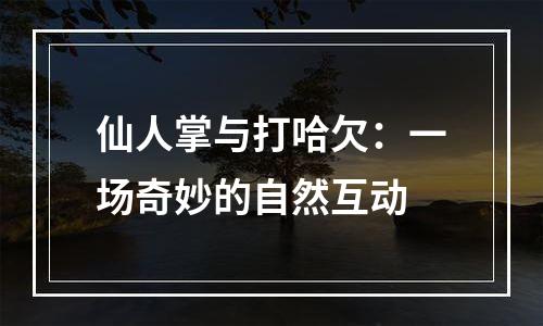 仙人掌与打哈欠：一场奇妙的自然互动