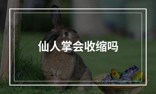 仙人掌会收缩吗