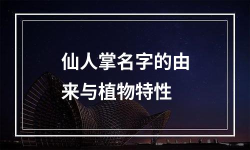 仙人掌名字的由来与植物特性