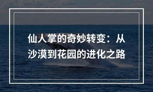仙人掌的奇妙转变：从沙漠到花园的进化之路