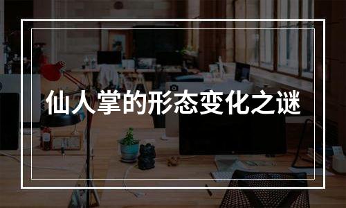 仙人掌的形态变化之谜