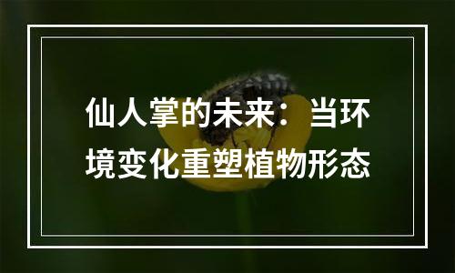 仙人掌的未来：当环境变化重塑植物形态