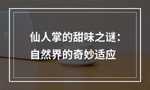 仙人掌的甜味之谜：自然界的奇妙适应