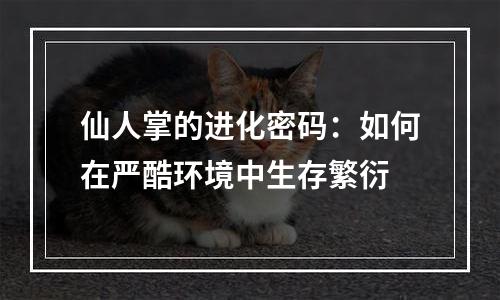 仙人掌的进化密码：如何在严酷环境中生存繁衍