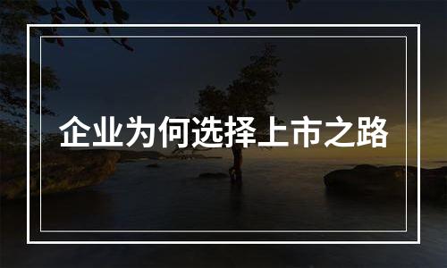 企业为何选择上市之路