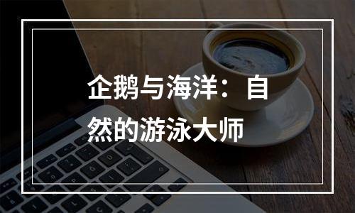 企鹅与海洋：自然的游泳大师