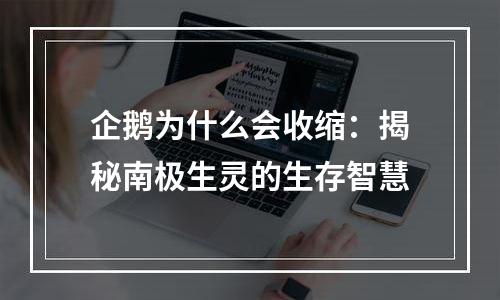 企鹅为什么会收缩：揭秘南极生灵的生存智慧