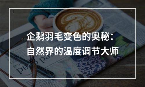 企鹅羽毛变色的奥秘：自然界的温度调节大师