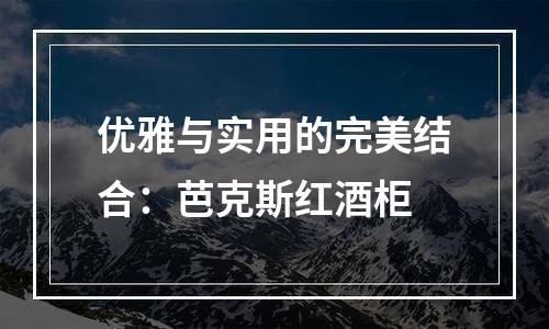 优雅与实用的完美结合：芭克斯红酒柜
