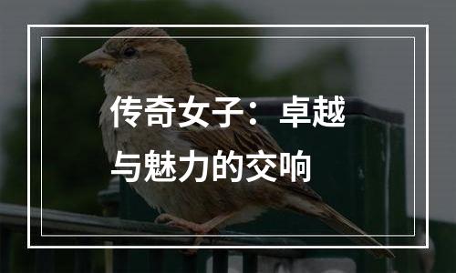 传奇女子：卓越与魅力的交响