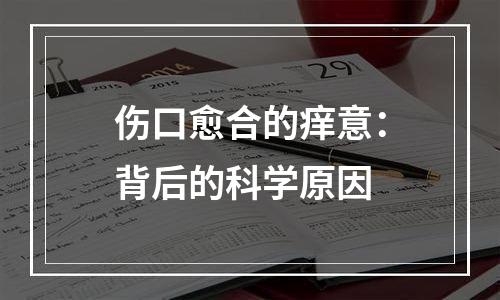 伤口愈合的痒意：背后的科学原因