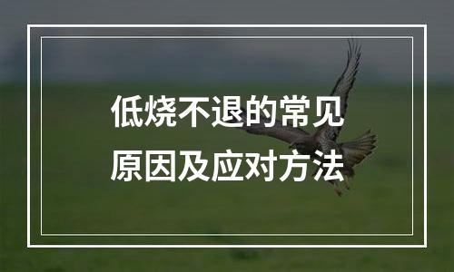 低烧不退的常见原因及应对方法