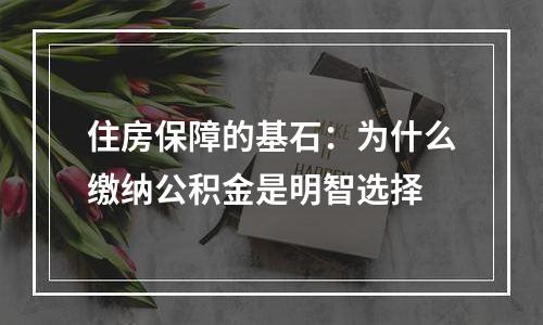 住房保障的基石：为什么缴纳公积金是明智选择