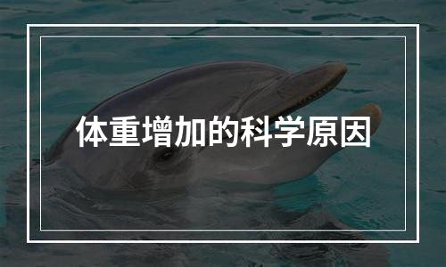 体重增加的科学原因