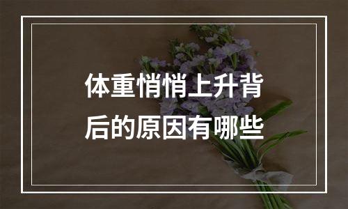 体重悄悄上升背后的原因有哪些