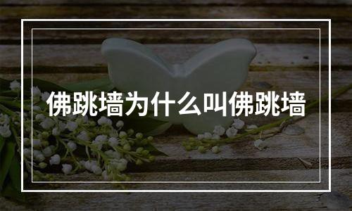 佛跳墙为什么叫佛跳墙